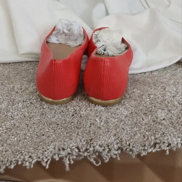 Call it Spring - Picture 4 of 5